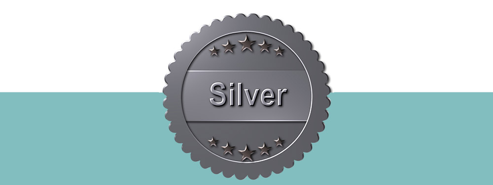 levels-silver-1000.png